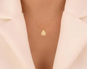 Ladybug Pendant Necklace - Minimalist Nature-Inspired Bug Jewelry – 3